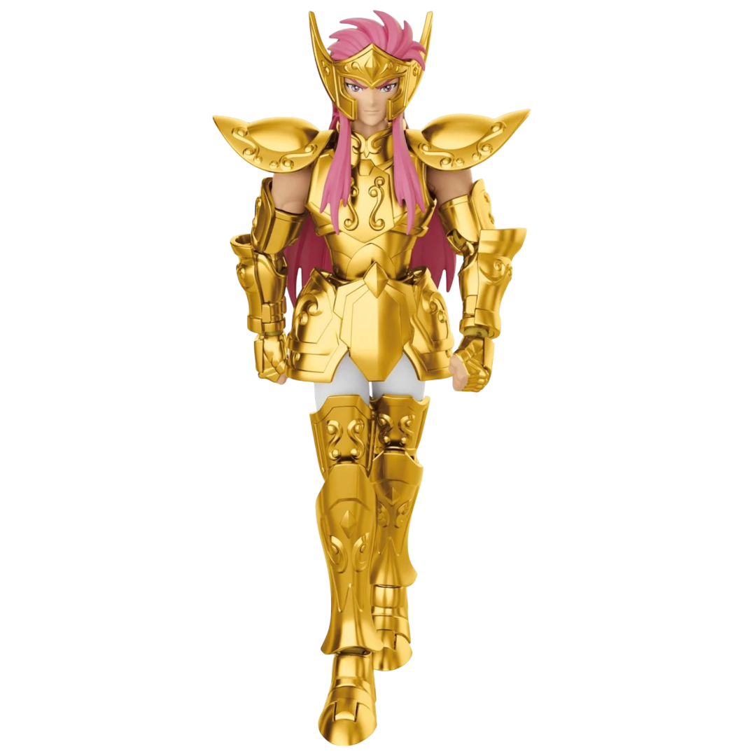 Blokees Saint Seiya Aquarius Camus ♒  Action Figure Champion Class  assemble Model kit